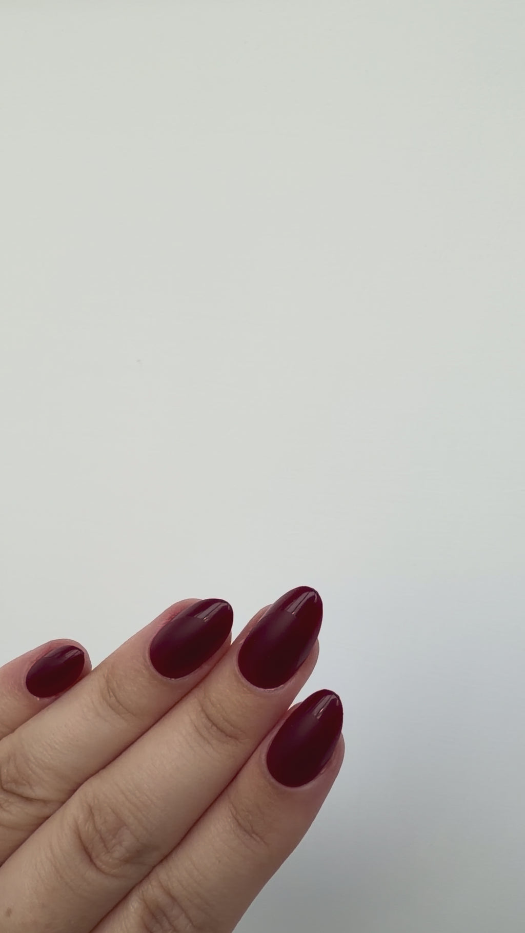 French Burgundy